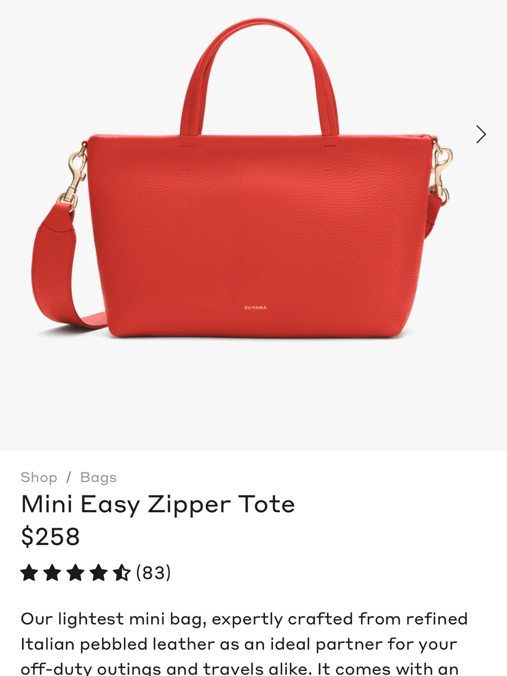 Cuyana Mini Easy Zipper Tote in Chili - Picture 4 of 6